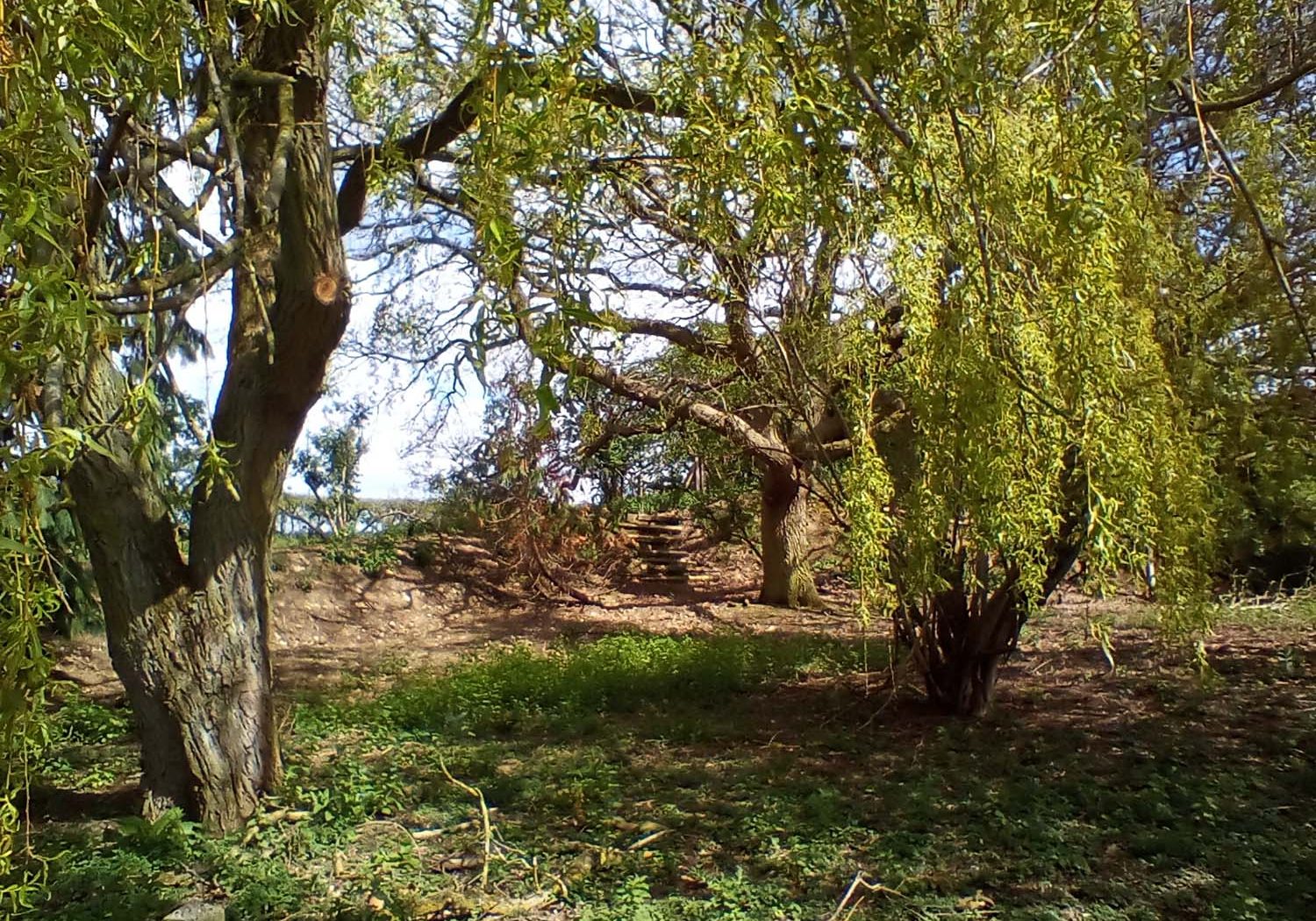 Norfolk Countryside