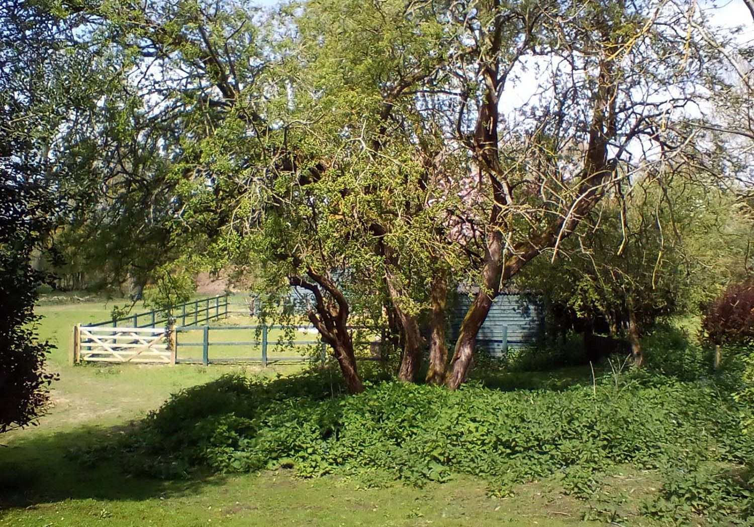 Old School House grounds in Tatterset