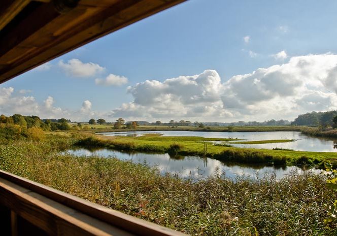 Pensthorpe