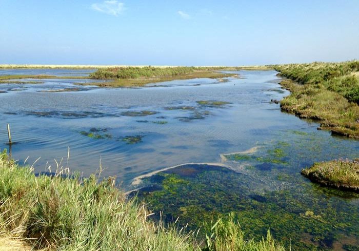 Titchwell Marsh